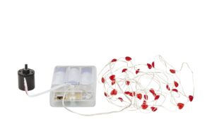 for friends LED Lichterkette  Herz