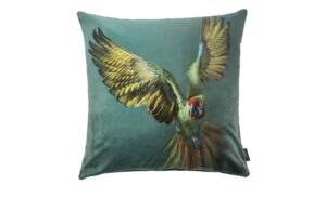 Apelt Kissen  Elliot