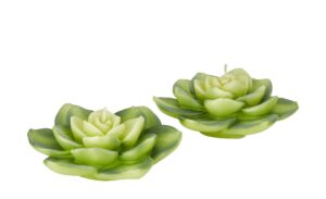 Kerze, 2er-Set   Sukkulente