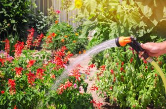 Durch den Verzicht auf Leitungswasser kann jeder Wasser und Kosten bei der Gartenpflege einsparen. Foto: andreyyalansky19 via Twenty20