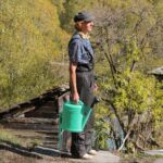 Bäume brauchen ausreichend Wasser zum Wachsen und Gedeihen. Foto MIRAHNEVA via Twenty20