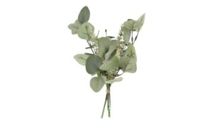 Eukalyptus-Rosmarinbund