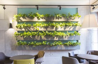 Ästhetik und Natur gleichzeitig – Pflanzen im Zimmer. Foto Prostock-studio via Envato