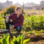 Urban Gardening – Obst und Gemüse mitten in der City. Foto © sururu stock adobe