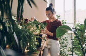 Grüner Daumen – 3 Tipps von Green Bubble zur Pflege von Zimmerpflanzen