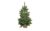 Tannenbaum im Jutesack