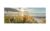 Glasbild 80×30 cm  Wilder Strand Accessoires > Bilder & Schilder – Höffner