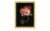 Gerahmtes Bild Scandic  Beautiful & Gold IV