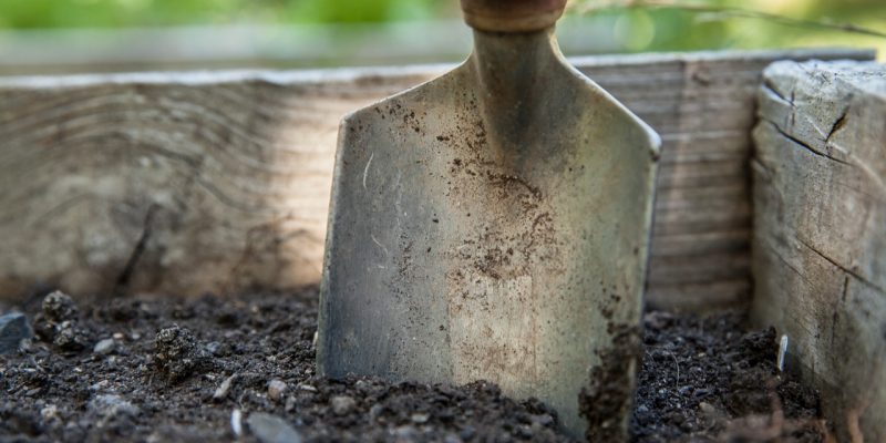 Den Boden im Garten verbessern mit natürlichen Mitteln
