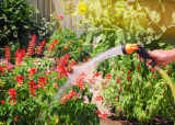 Wasser sparen im Garten – 5 Einfache Tipps für jeden