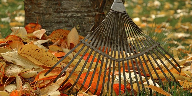 Gartenbau-Tipps für den Herbst