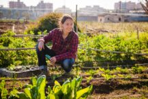 Urban Gardening – Viel Natur in der City