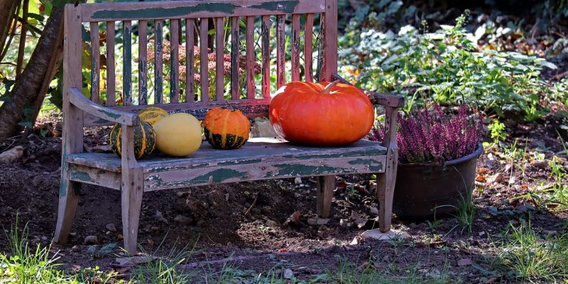 Gartenbank streichen – Lasur oder Öl?
